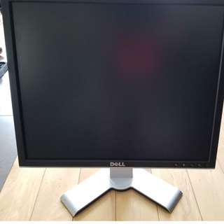 19" Flat screen DELL Monitor