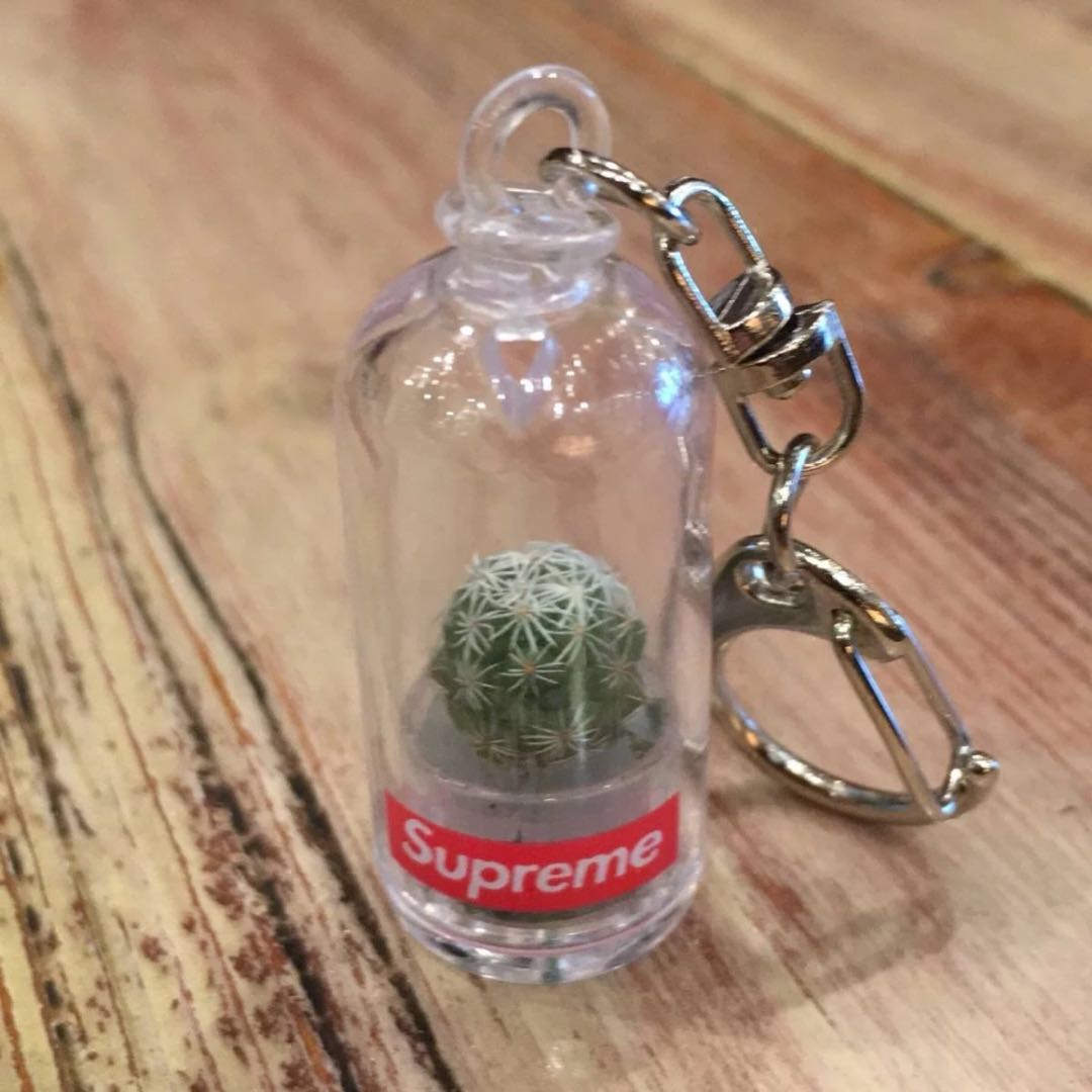 cactus keychain supreme