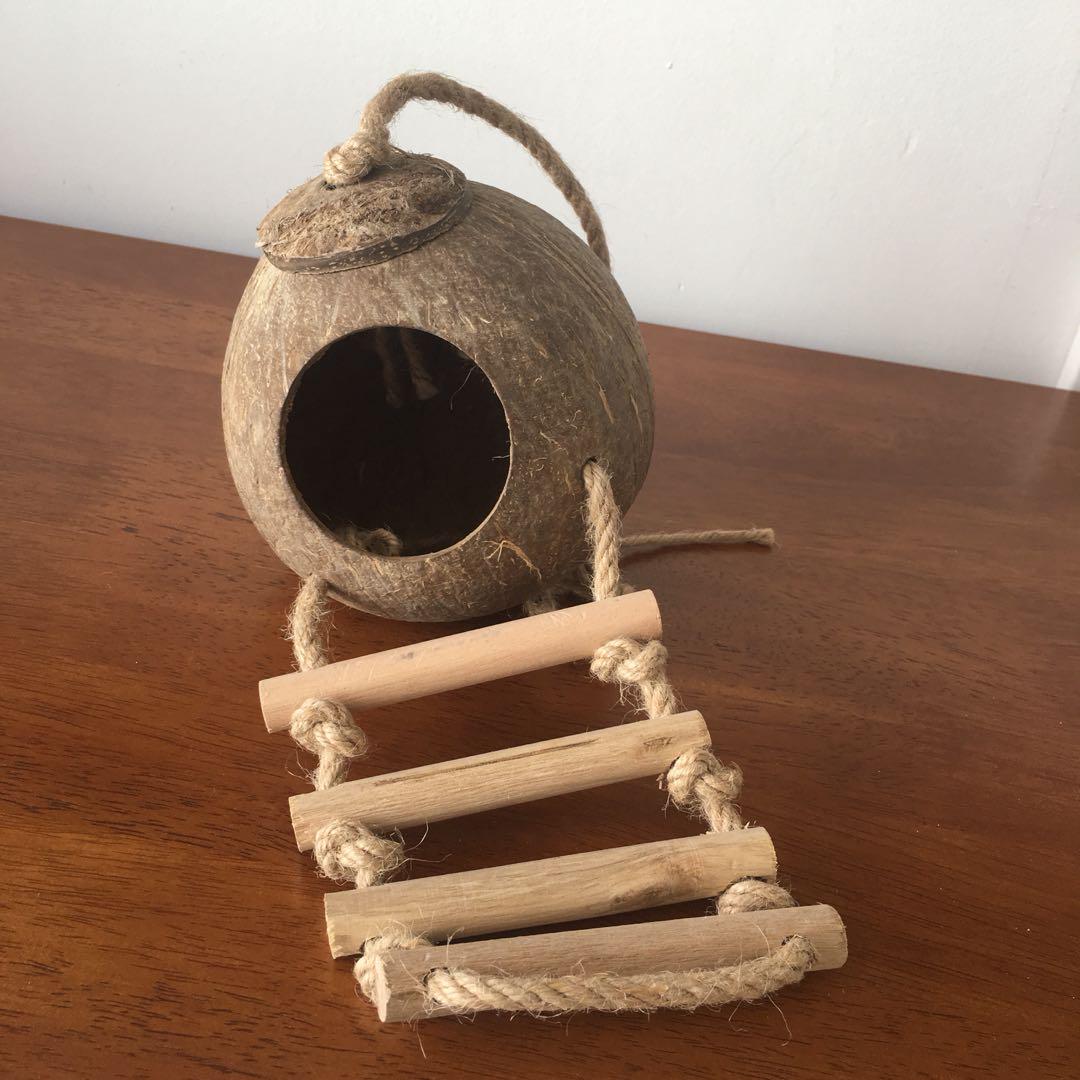 Coconut sale hamster house