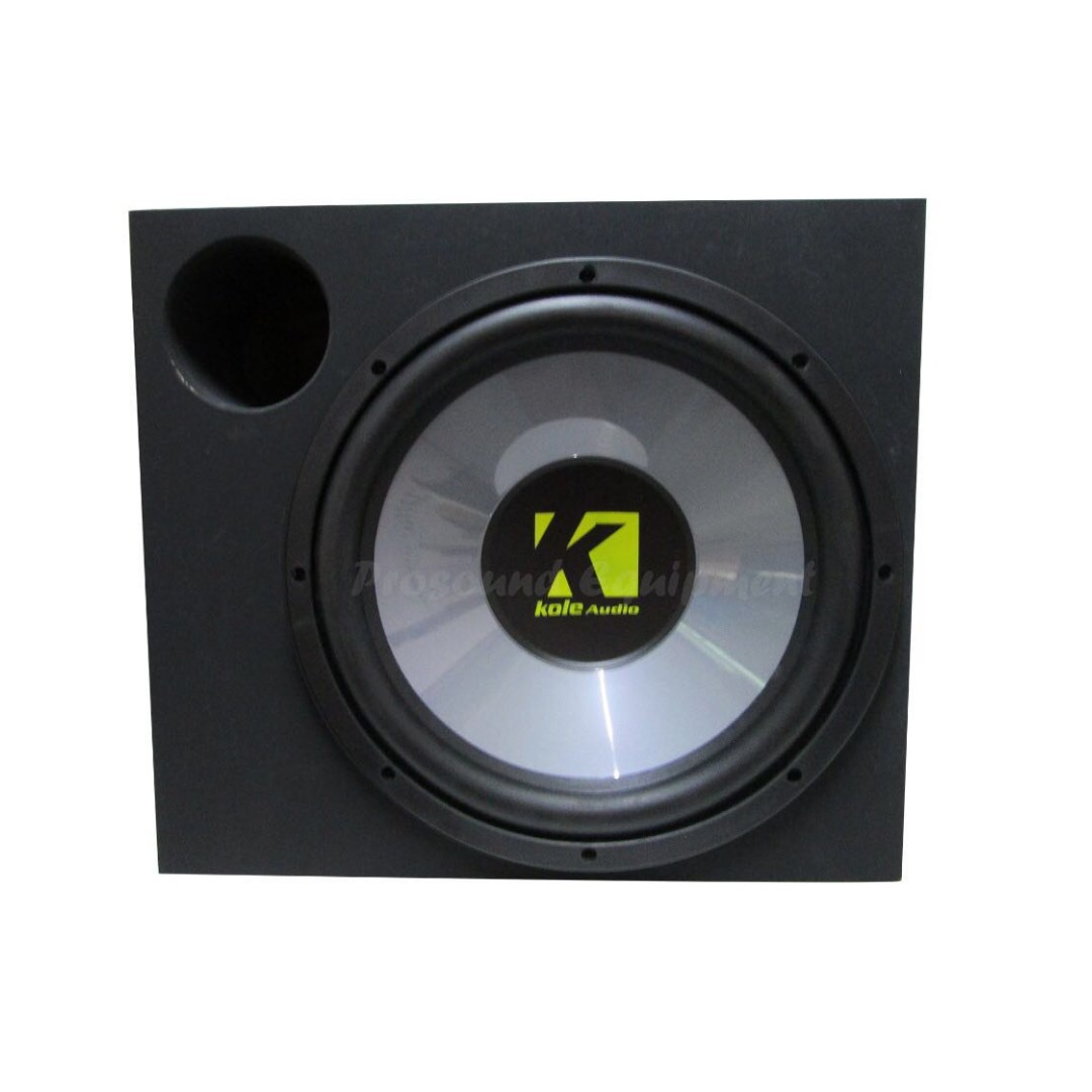 Kole audio 12 inch subwoofer hotsell