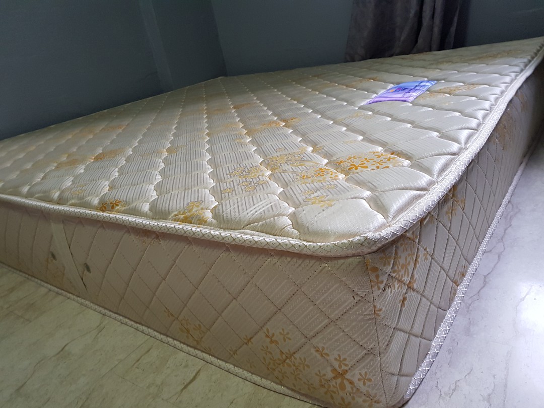 Mattress King Size Seahorse Furniture Beds Mattresses On Carousell