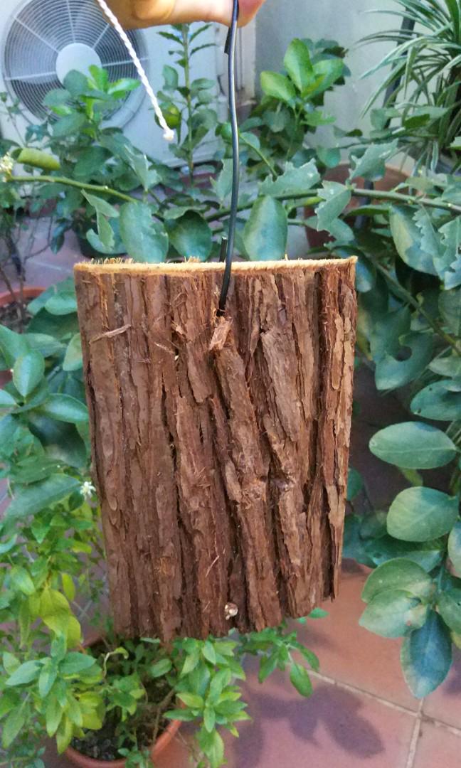 Spruce / Cedar bark slab (for orchid, staghorn fern mounting etc
