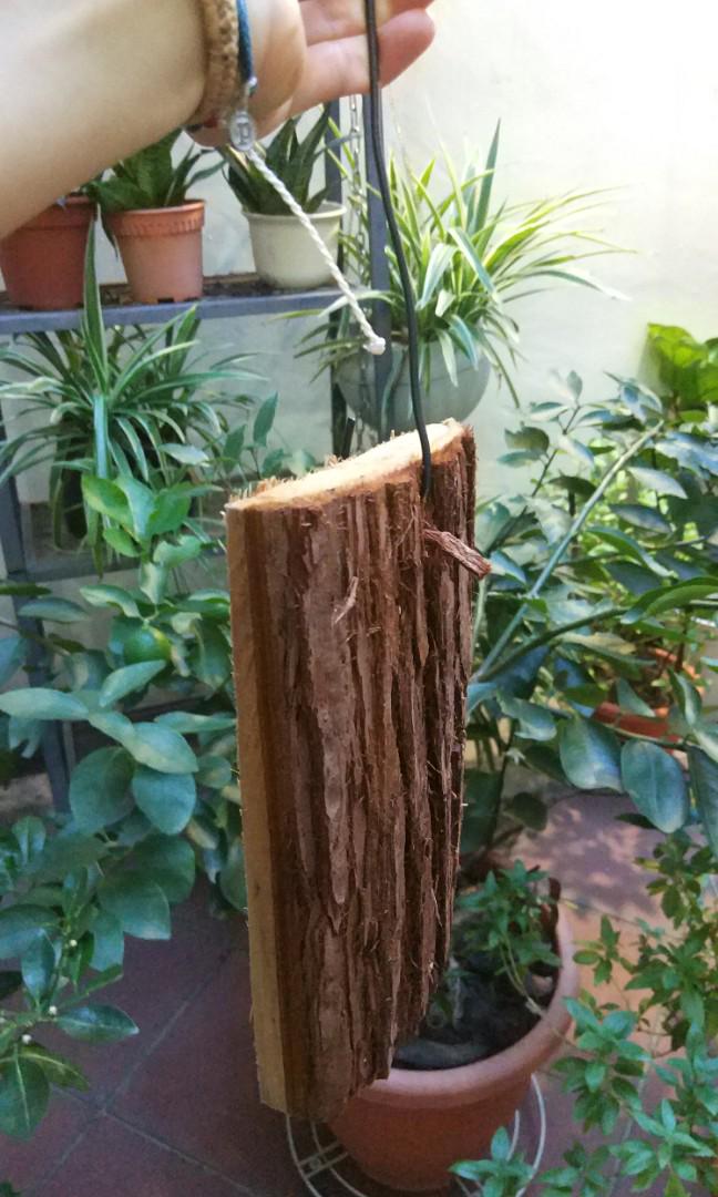 Spruce / Cedar bark slab (for orchid, staghorn fern mounting etc