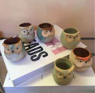 Mini Owl-Shaped Pots