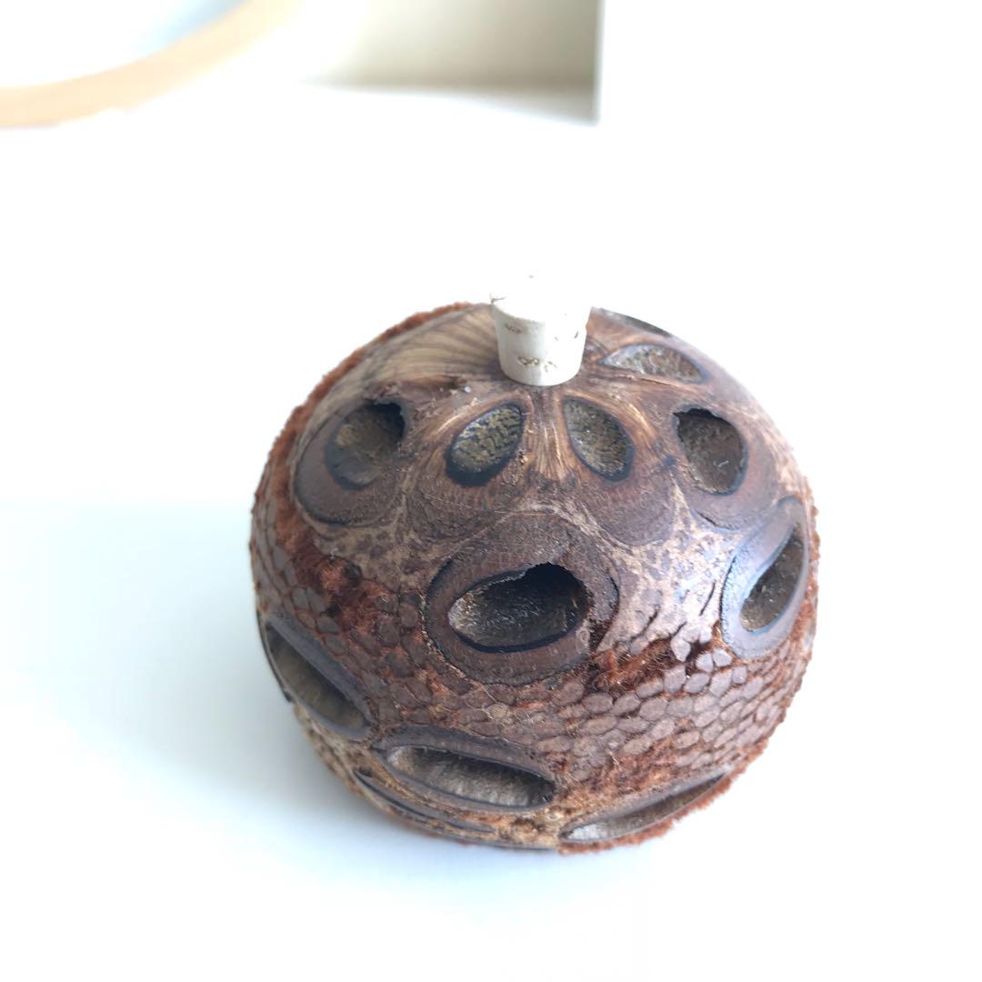 Banksia Seed Scent Aroma Diffuser Pod Everything Else On Carousell
