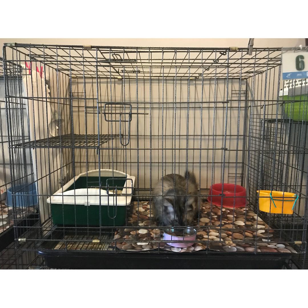 Cat Cage / Sangkar Kucing, Pet Supplies, Pet Accessories on Carousell