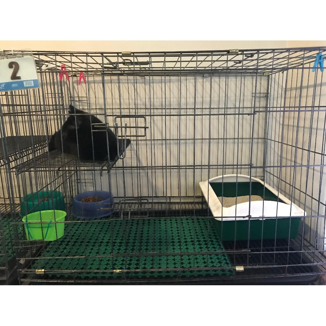 Cat Cage / Sangkar Kucing, Pet Supplies, Pet Accessories on Carousell