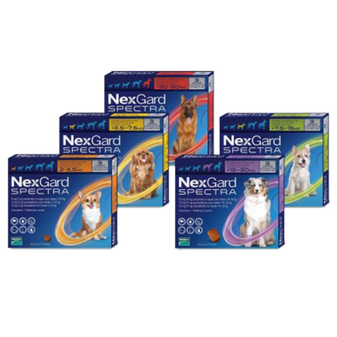 NEXGARD SPECTRA FLEA & HEARTWORM COMBO, Pet Supplies, Homes & Other Pet