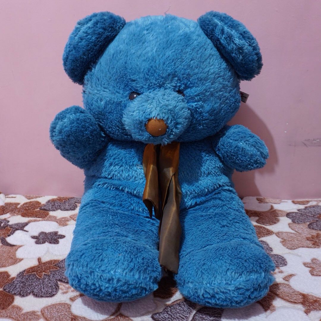 blue teddy