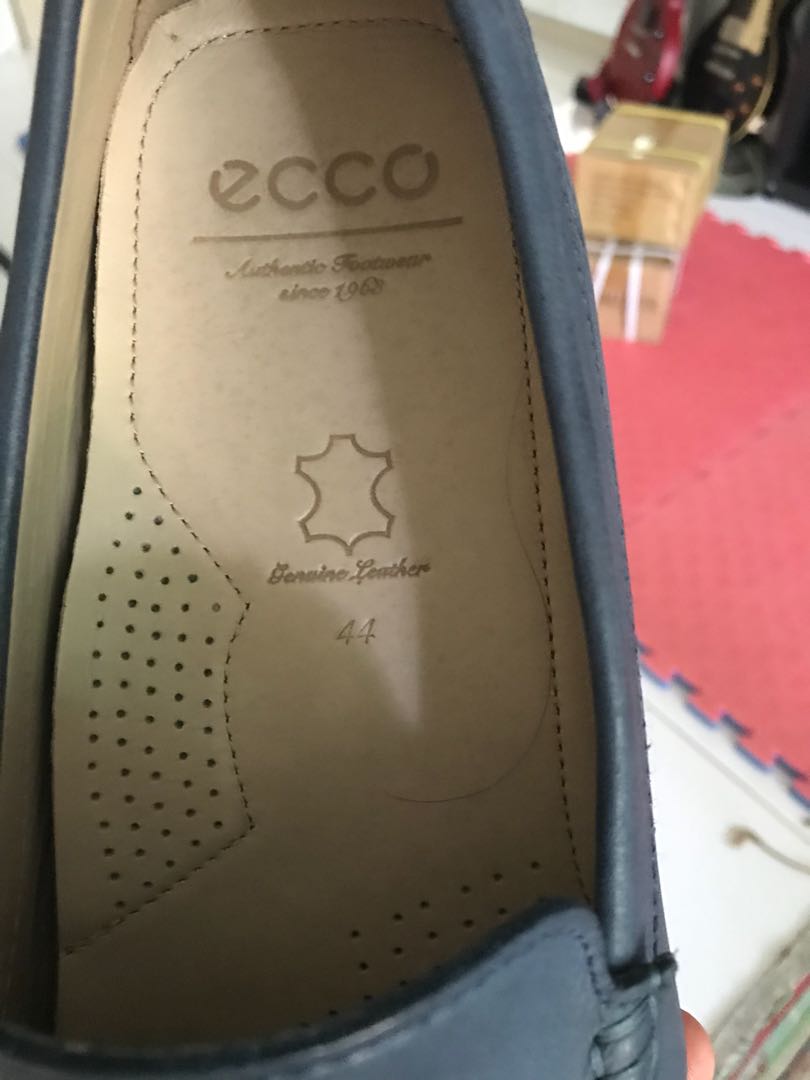 ecco drivers