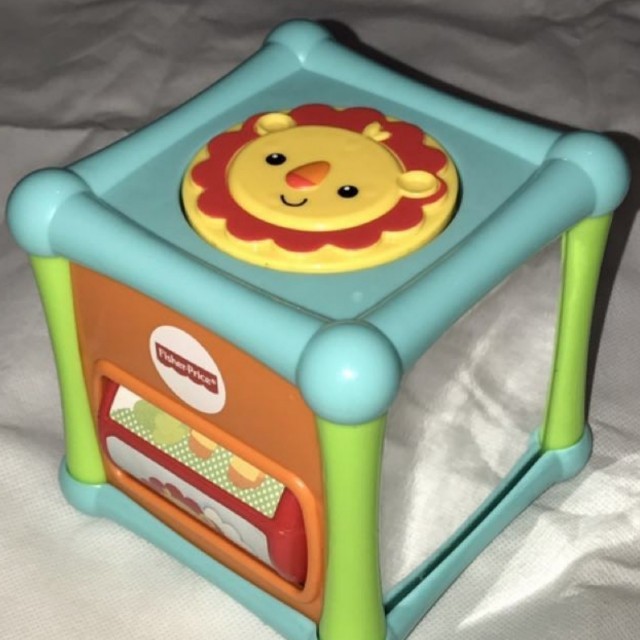animal activity cube fisher price