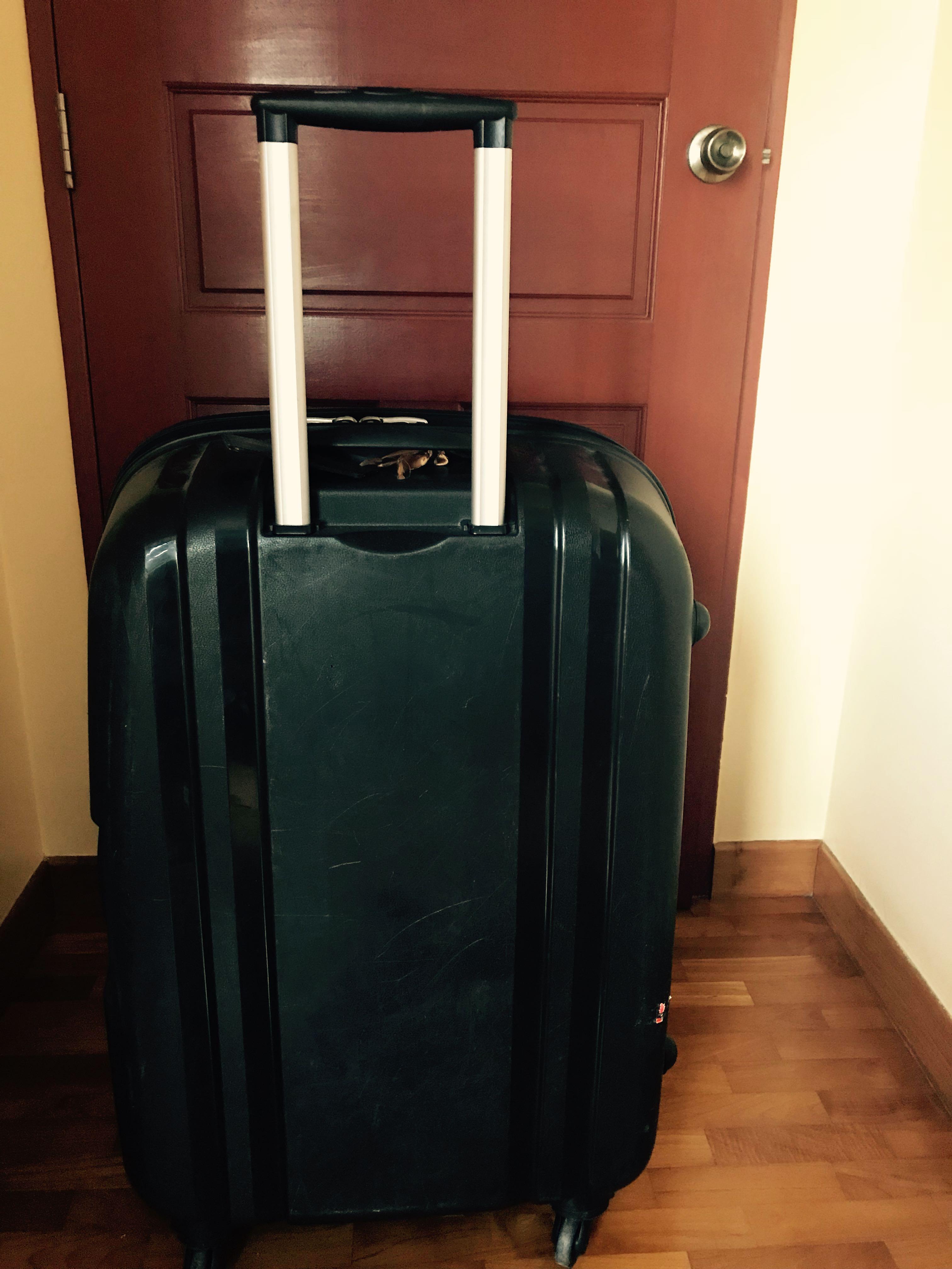 birkley luggage price