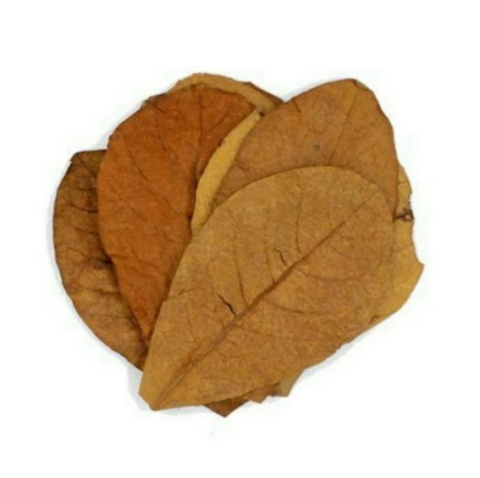 Daun Ketapang Indian Almond Leaf Pet Supplies Pet Accessories On Carousell