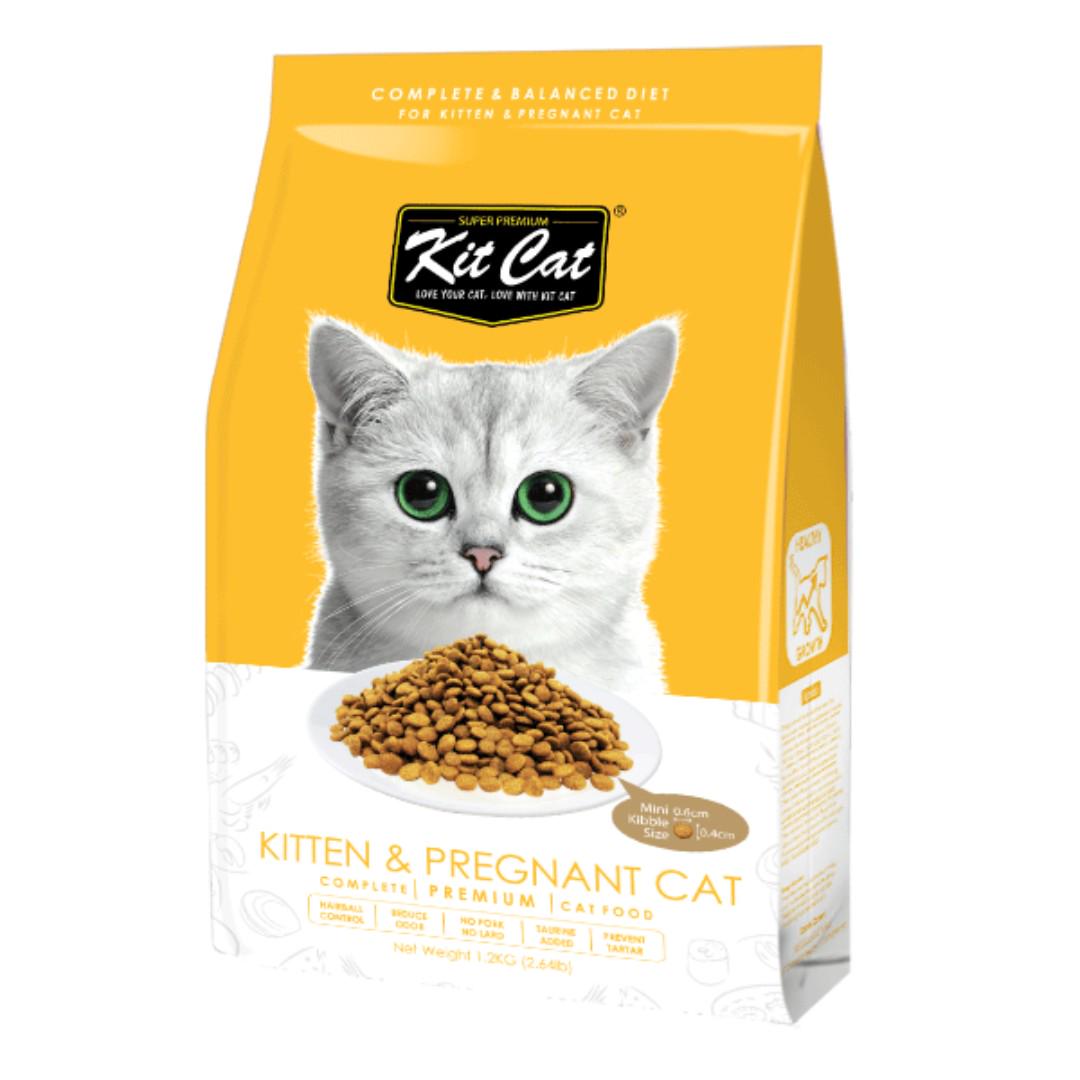 Kit Cat Kitten & Pregnant (Healthy Growth) Dry Cat Food, Pet ...