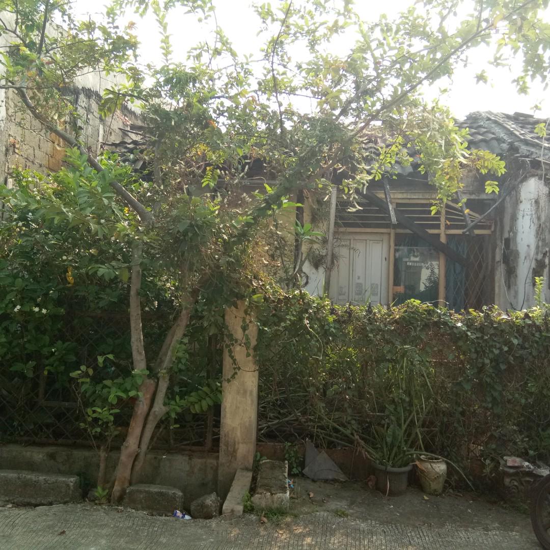 20+ Rumah Dijual 99 PNG