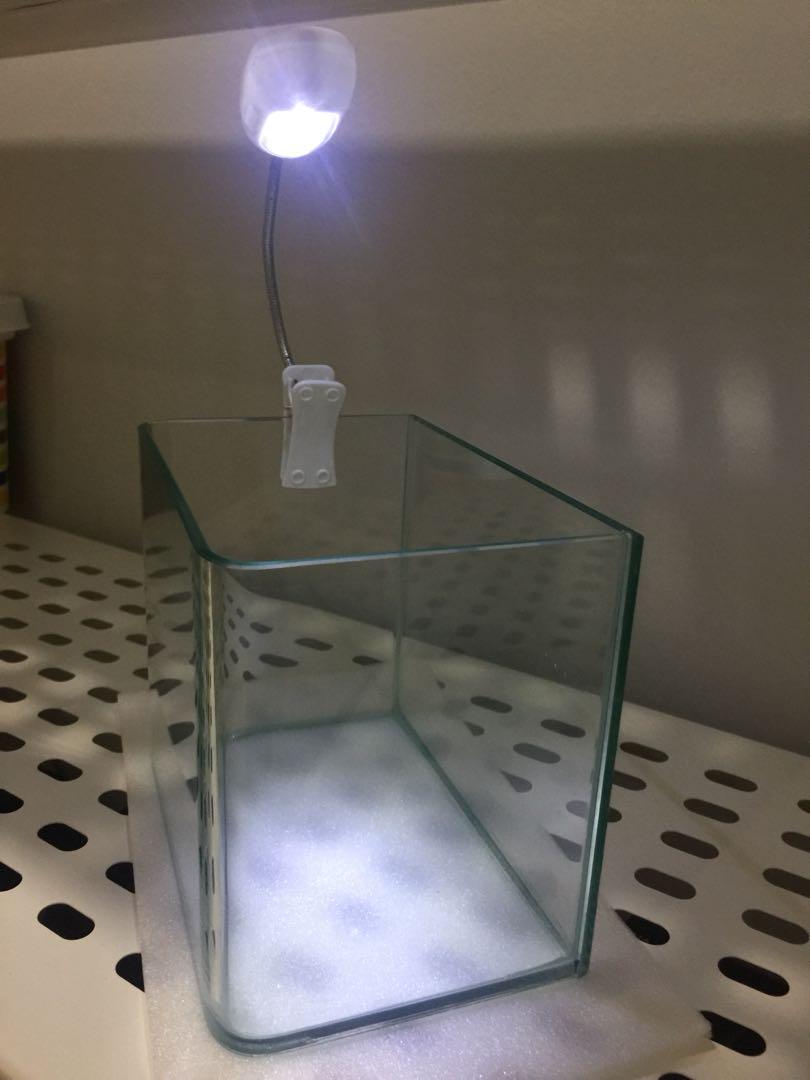 5600 Koleksi Design Aquarium Kecil HD