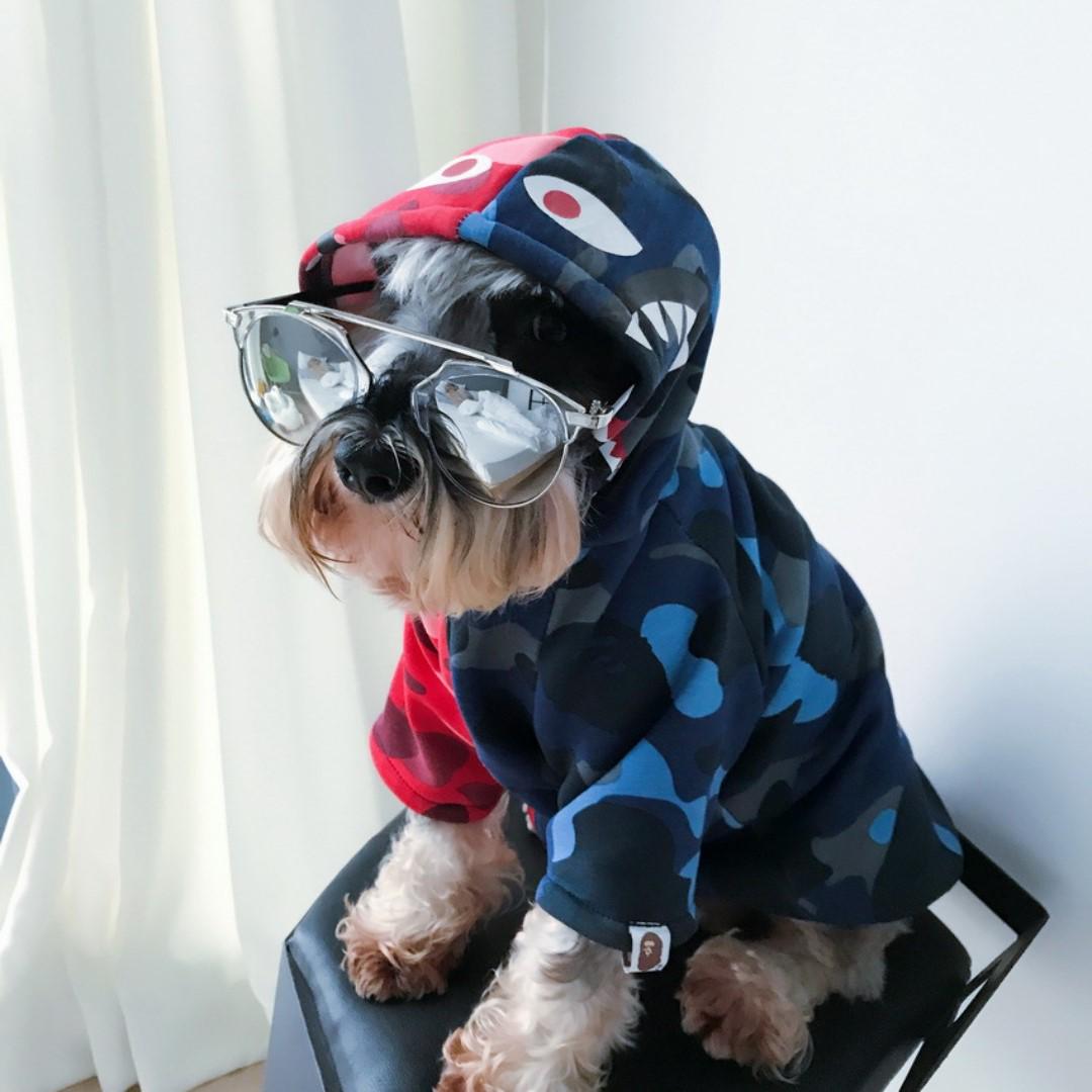 bathing ape dog hoodie