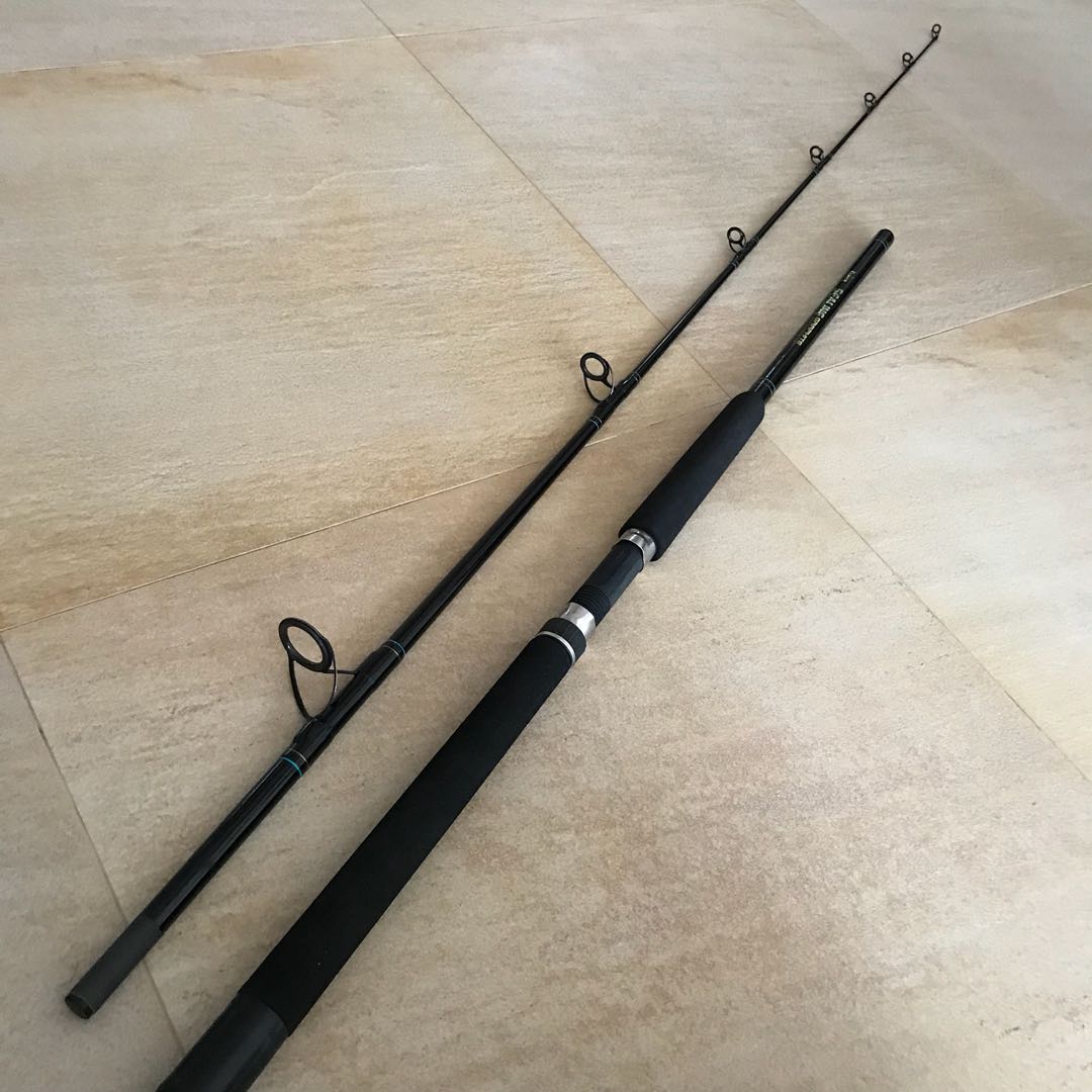 daiwa sealine rod