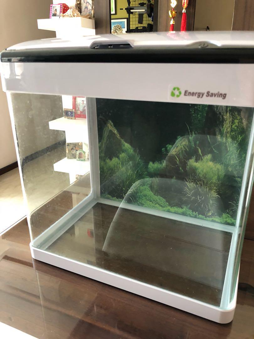 used fish tank supplies