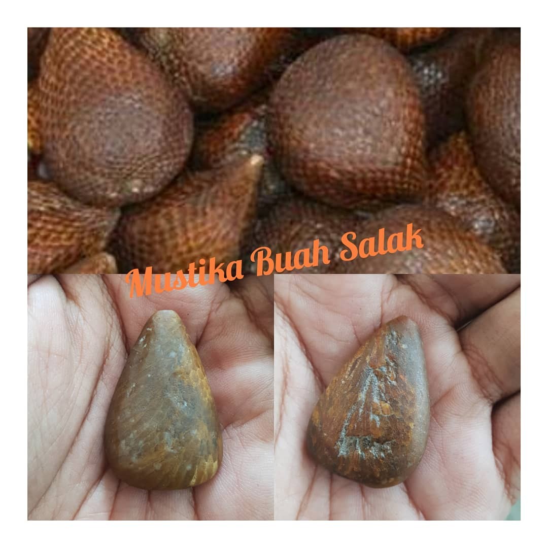 Batu Mustika Buah Salak Asli Antiques Others On Carousell