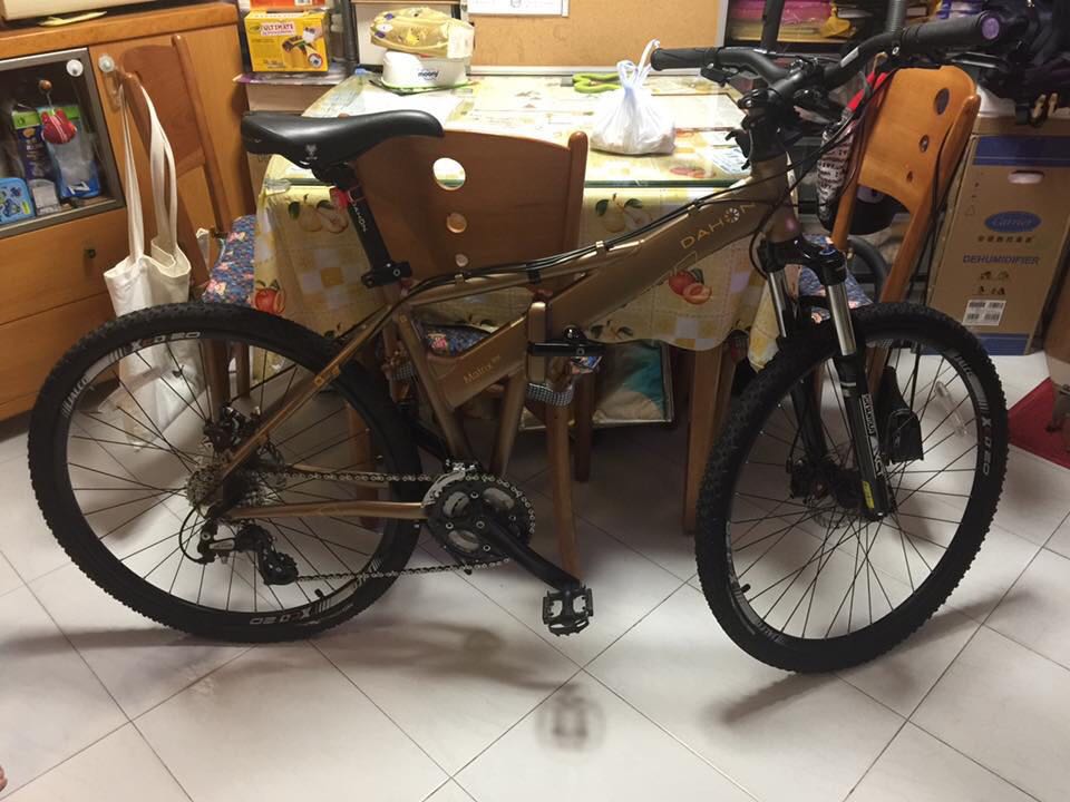 Dahon matrix D24 XRA643 Carousell