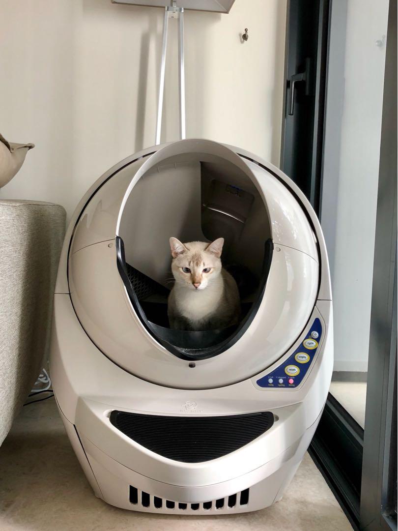 used litter robot for sale