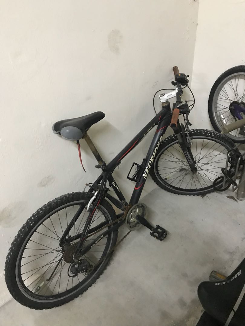 neo rider bicycle price
