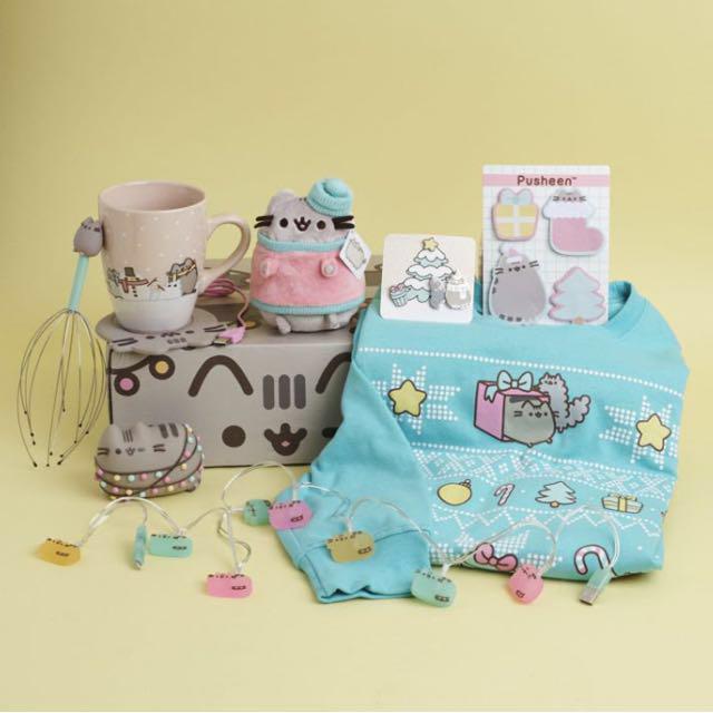 Pusheen Box Winter 2018 Empty Box Brand New