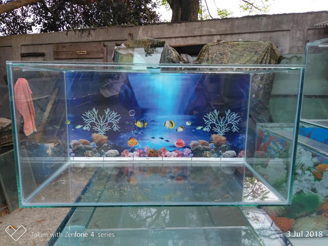Aquarium 60x30x30 Baru Pet Supplies Accessories On Carousell