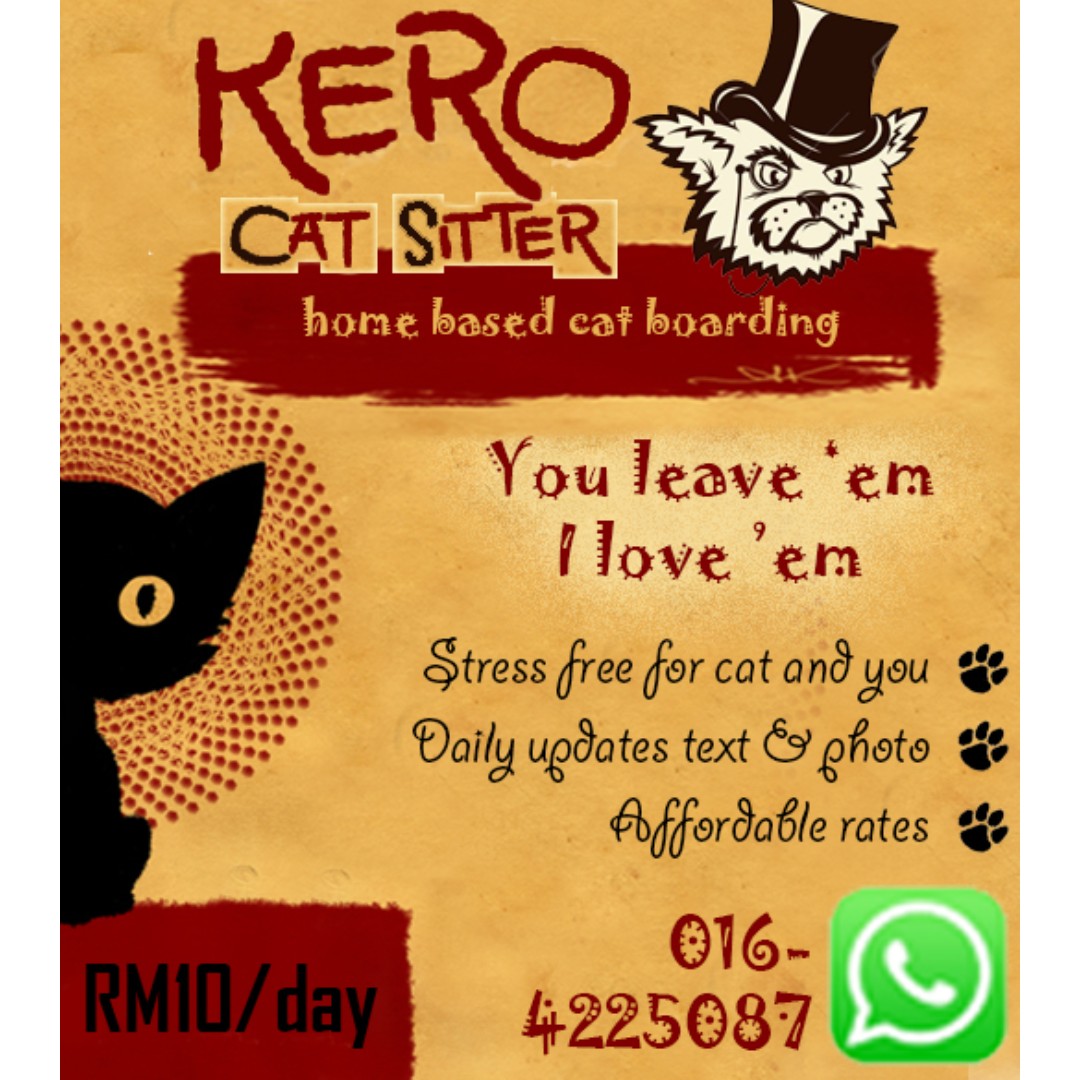 Cat home boarding store
