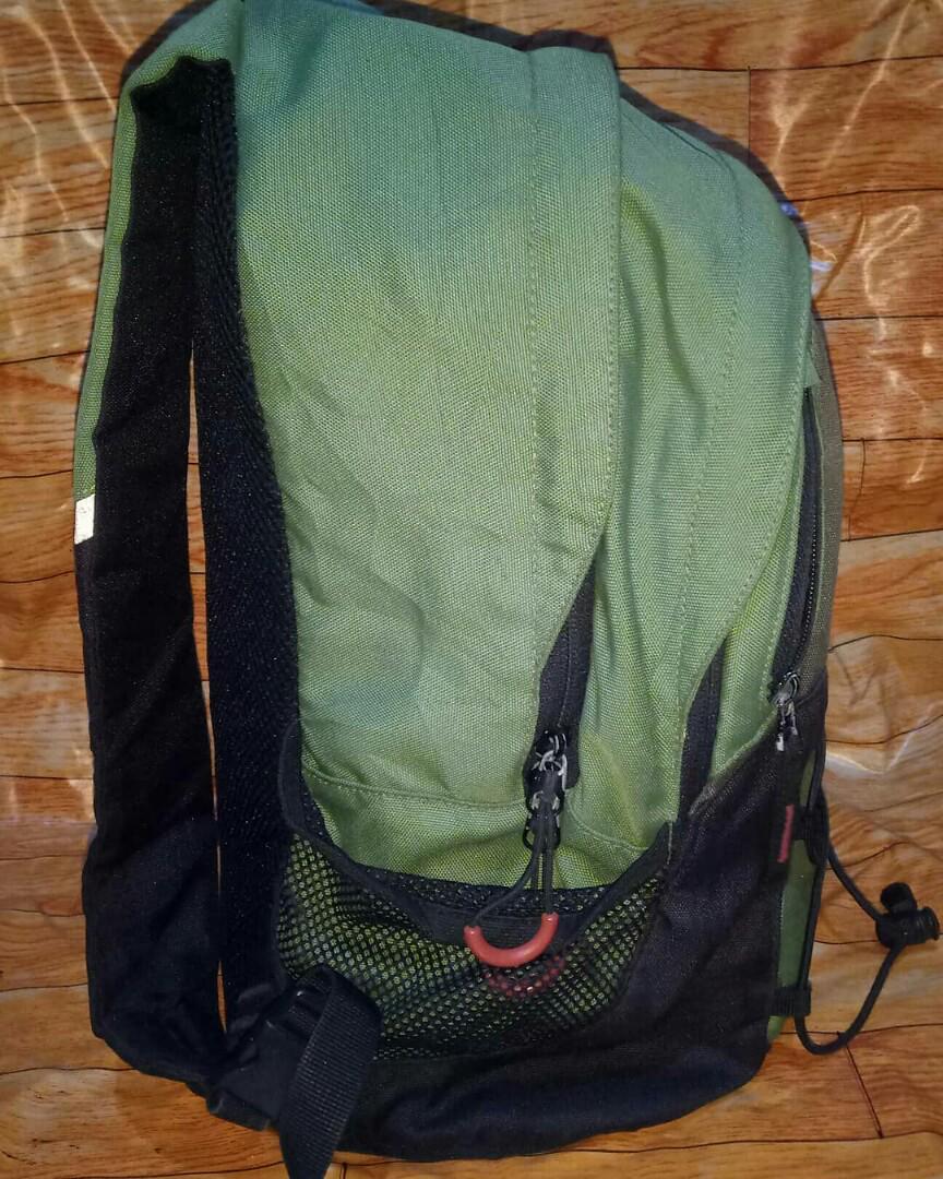 coleman daypack
