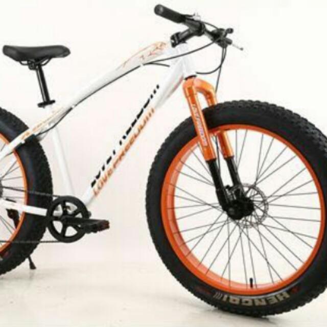 old fat bike