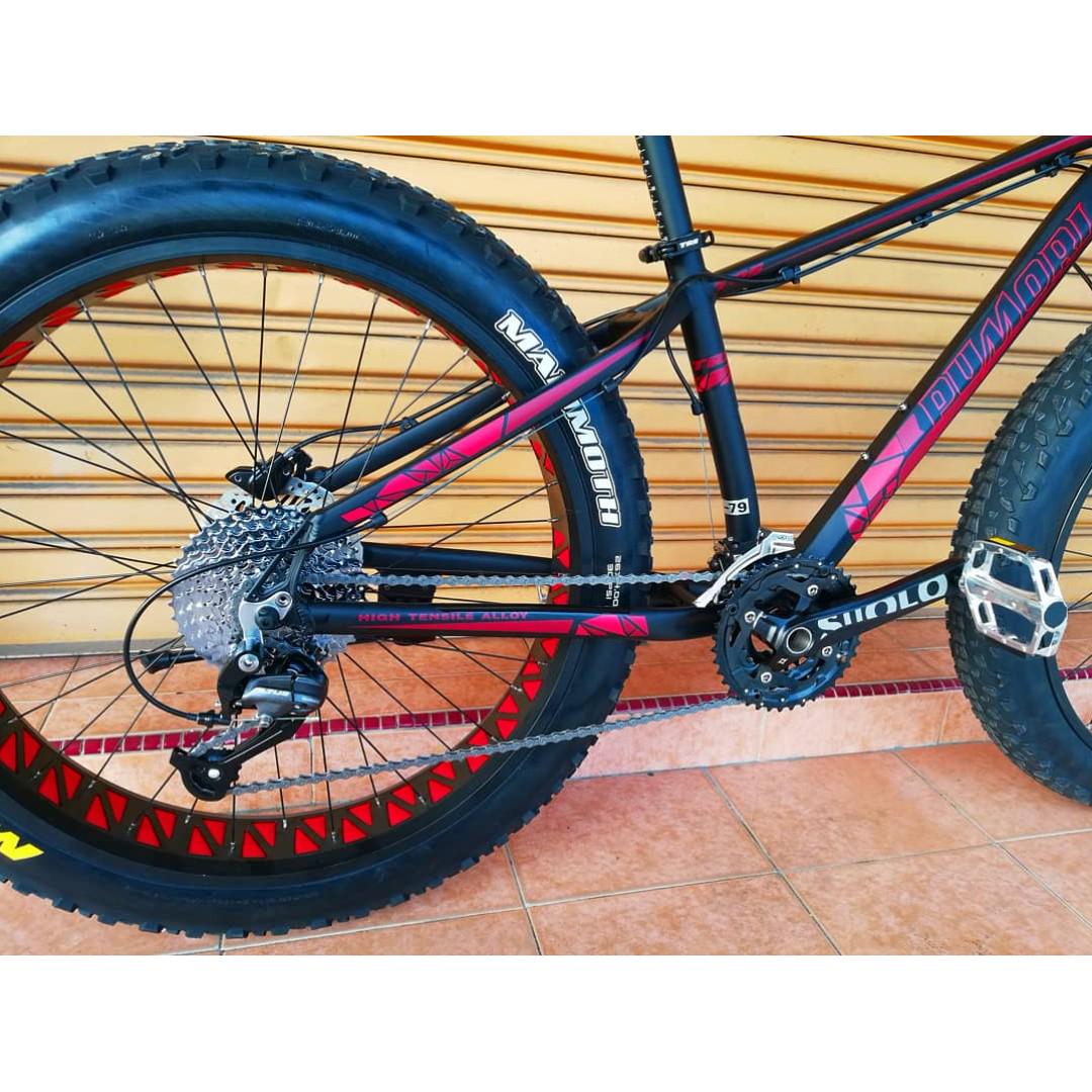 Fat Bike TRS Pumori