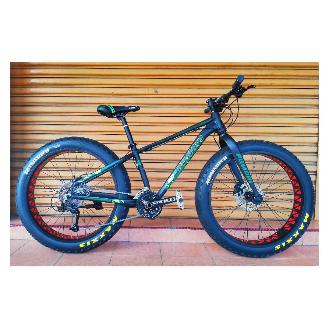 Pumori fat bike sales
