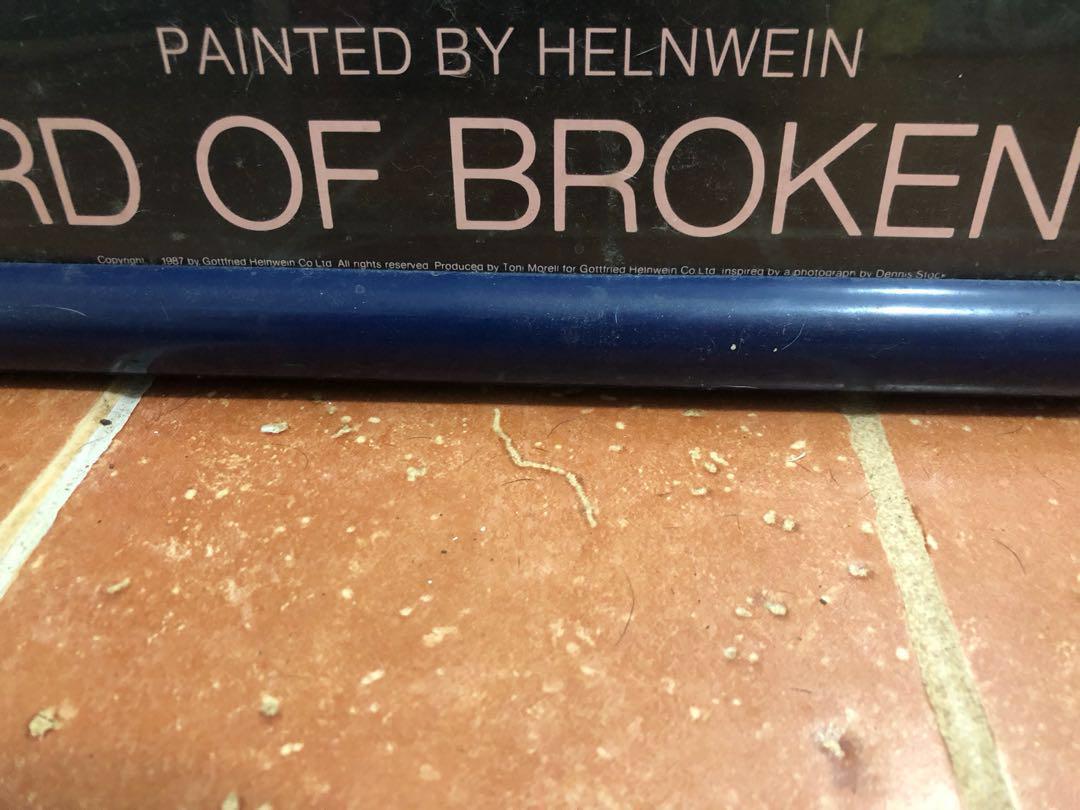 Boulevard Of Broken Dreams The Life Times And Legend Of James