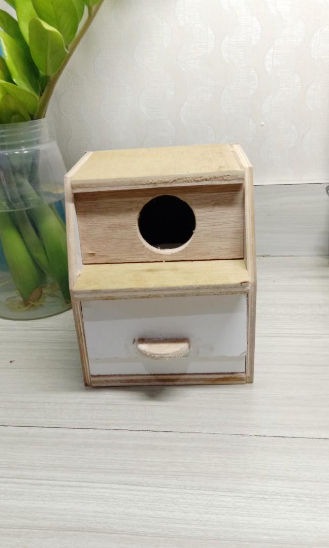 Glodok Burung Lovebird dan Parkit, Pet Supplies 