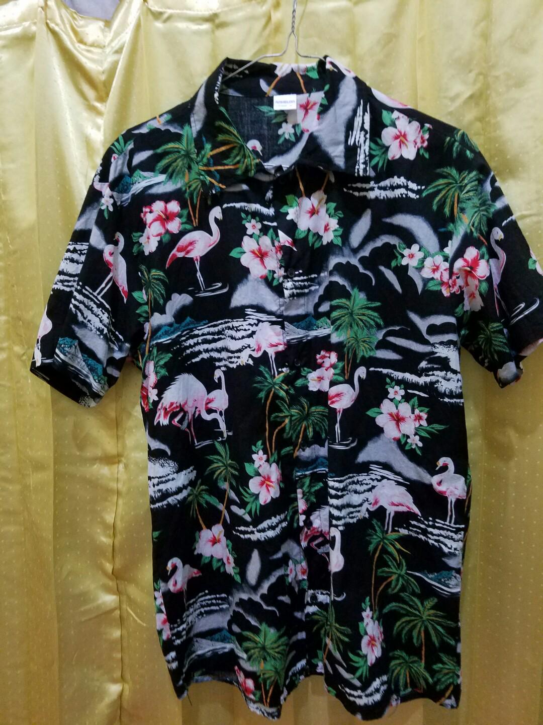 Unduh 460 Gambar Flamingo Pantai Terbaik 