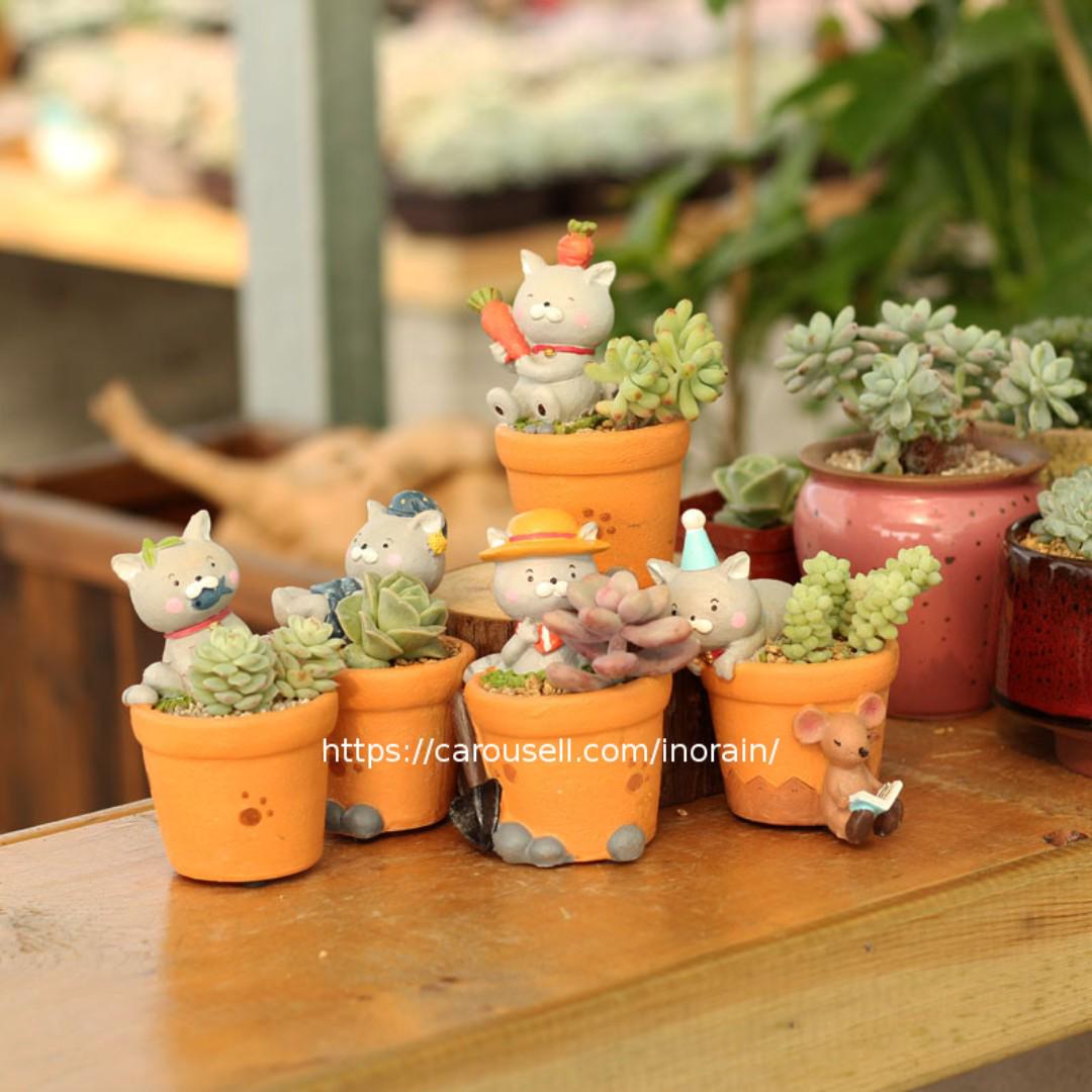 The Kitty Cat Cactus Succulent Planter Miini Cute Plant Pot Display Zakka Garden Gardening Supplies Gardening Pots Planters On Carousell