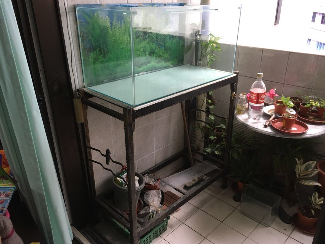 3ft Fish Tank With Metal Stand Pet Supplies For Fish Fish Tanks