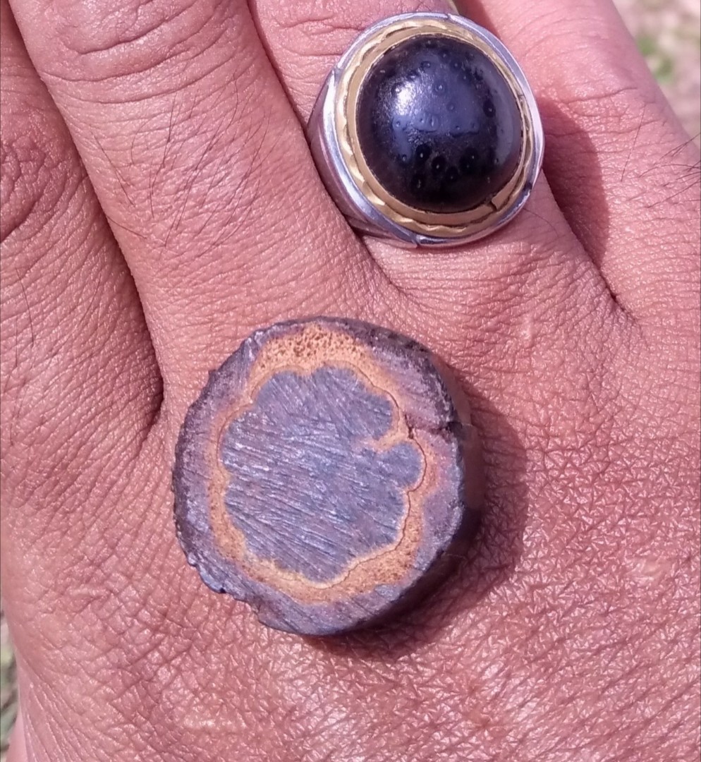 Kayu Sulur Bertam Men S Fashion Accessories On Carousell