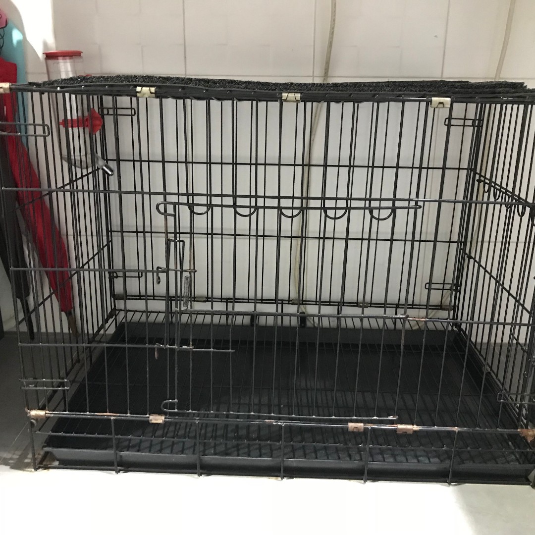 Preloved Dog s Cage Pet Supplies Homes Other Pet Accessories on Carousell