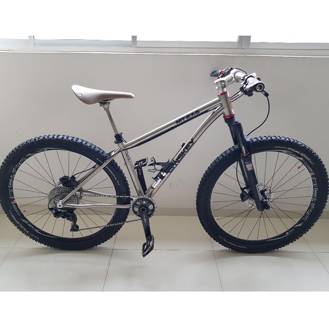 titanium mountain bike