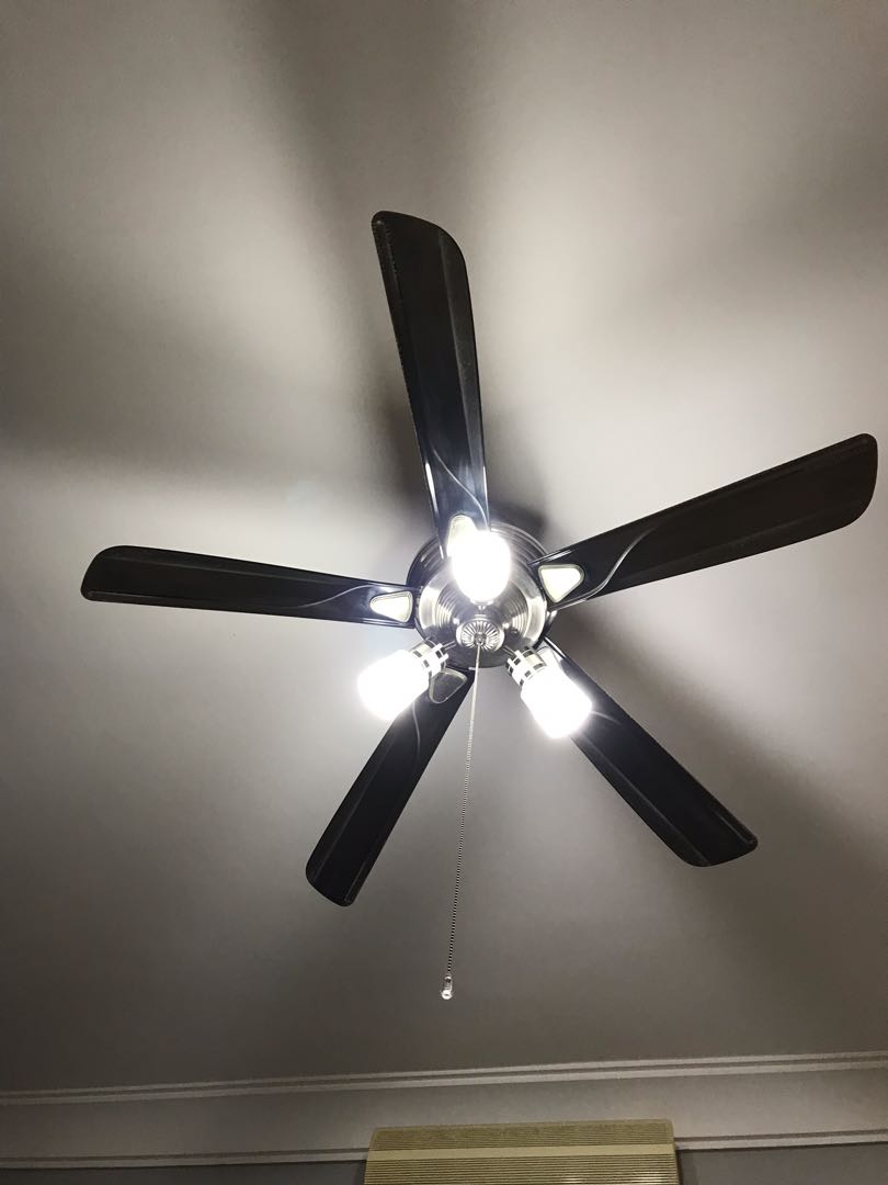 Amasco 52 Ceiling Fan With Lights And