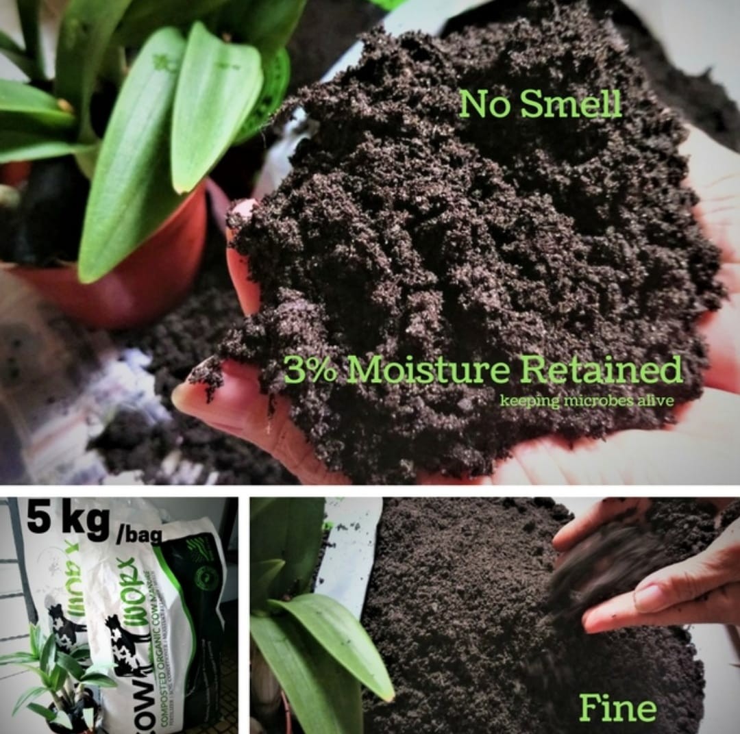 Cow Worx Composted Cow Manure From Usa Gardening Plants On Carousell