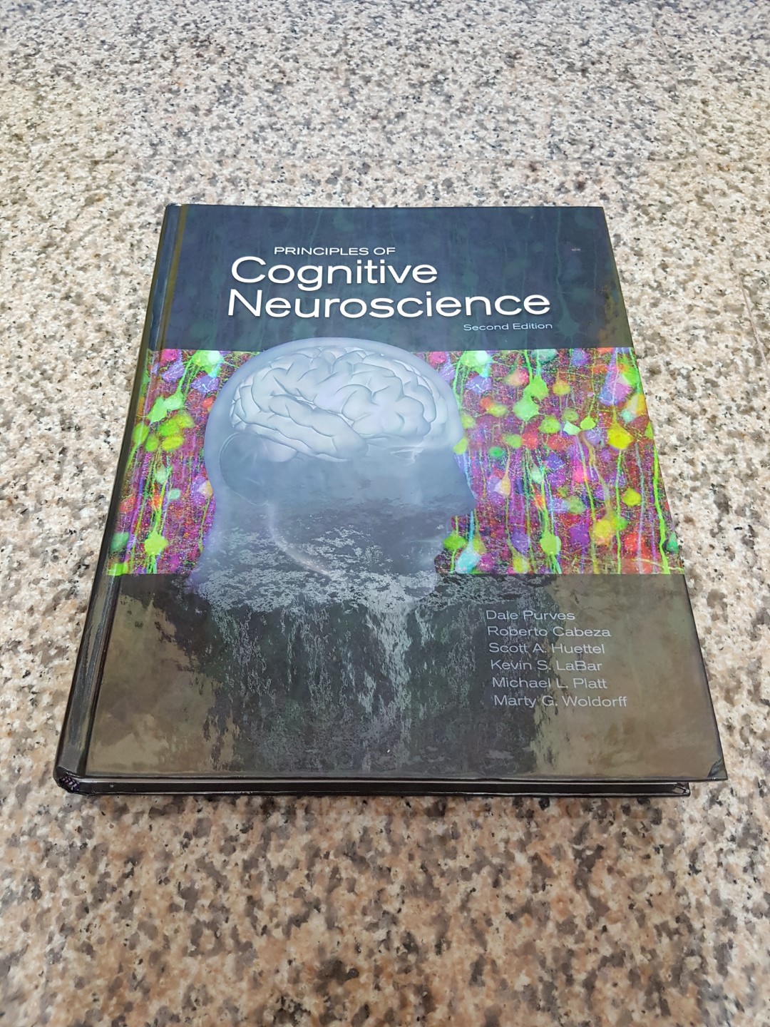 Test Bank Neuroscience Purves Test Bank Neuroscience Purves