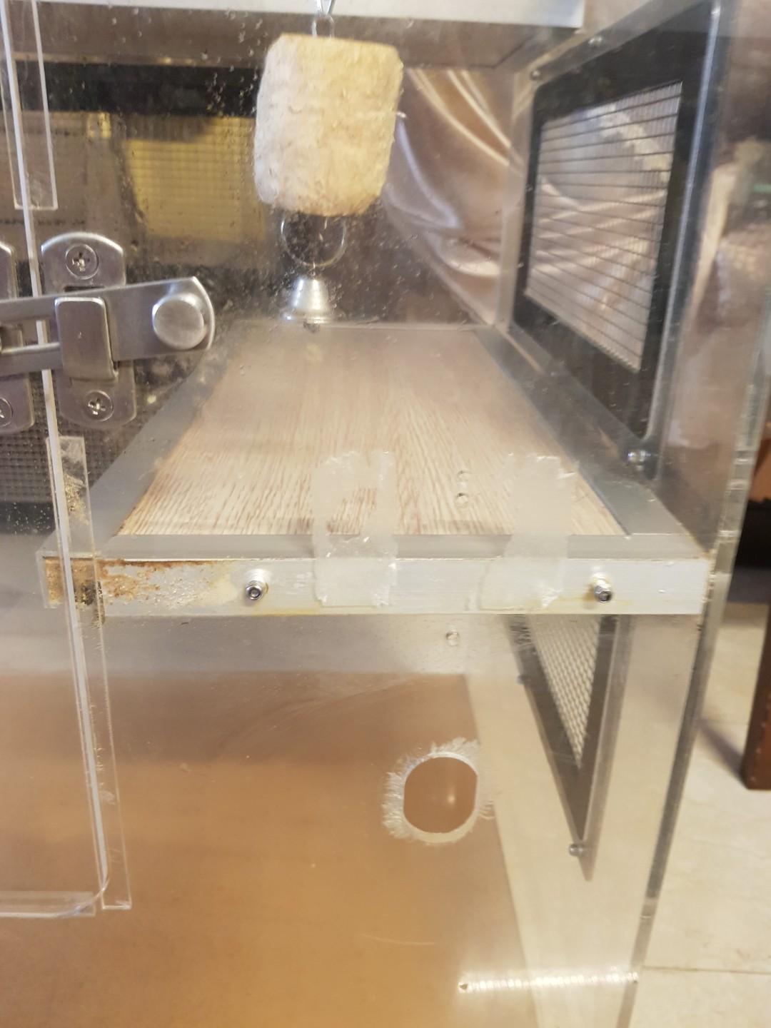 Second hand top chinchilla cage