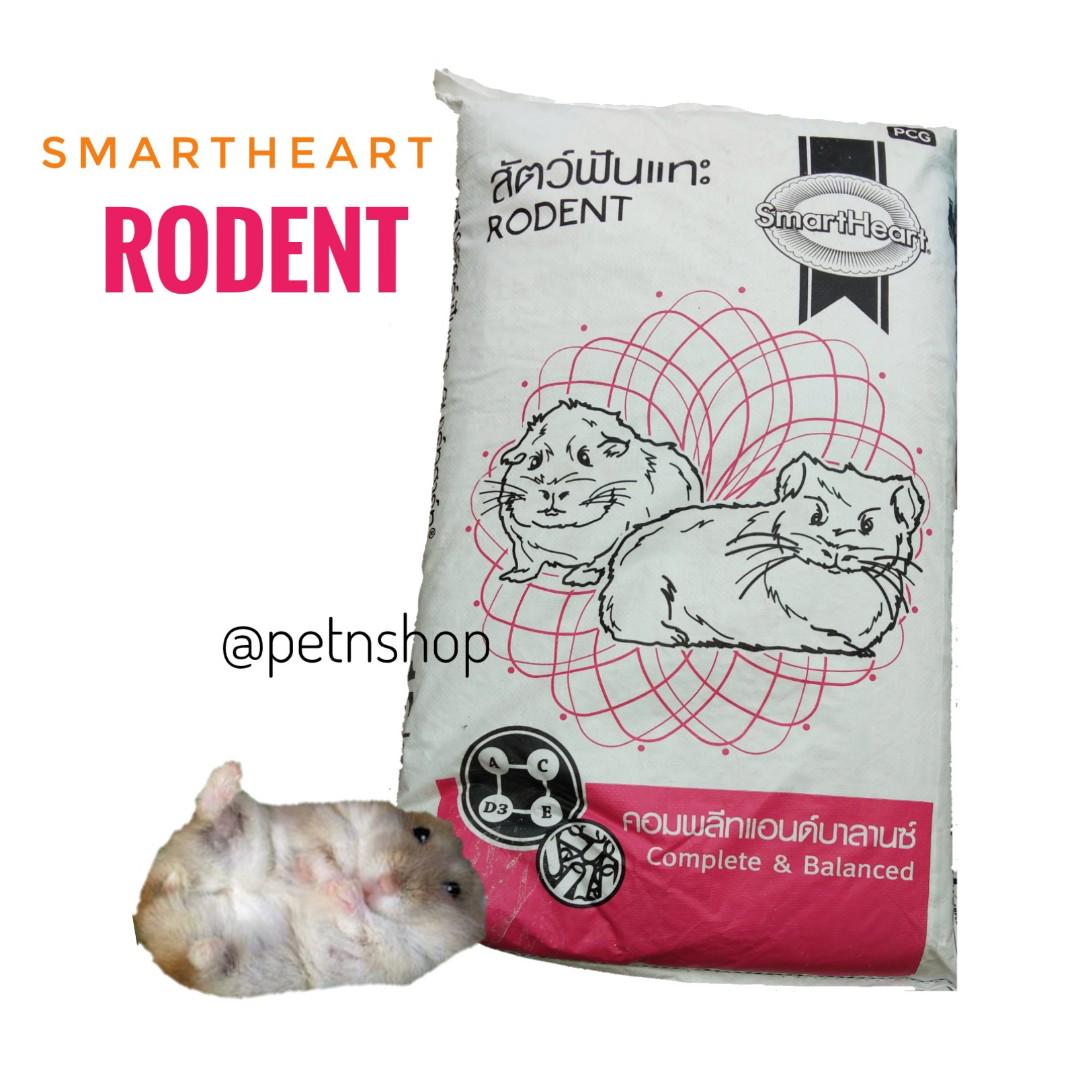 smartheart guinea pig food