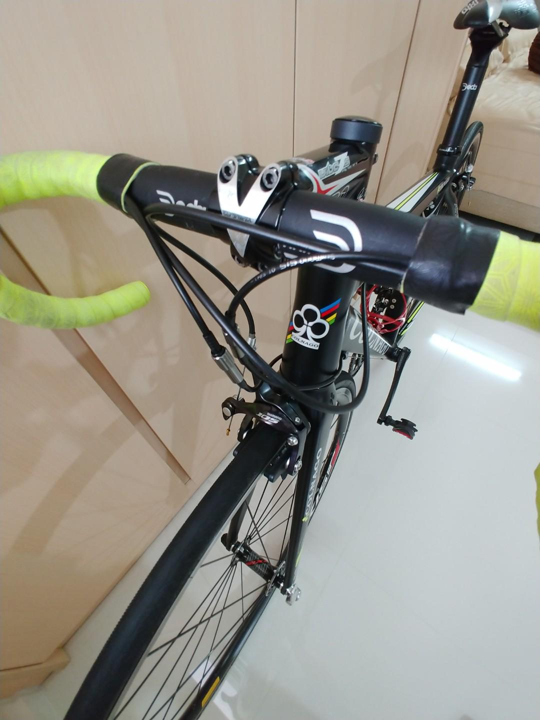 ale master bib shorts