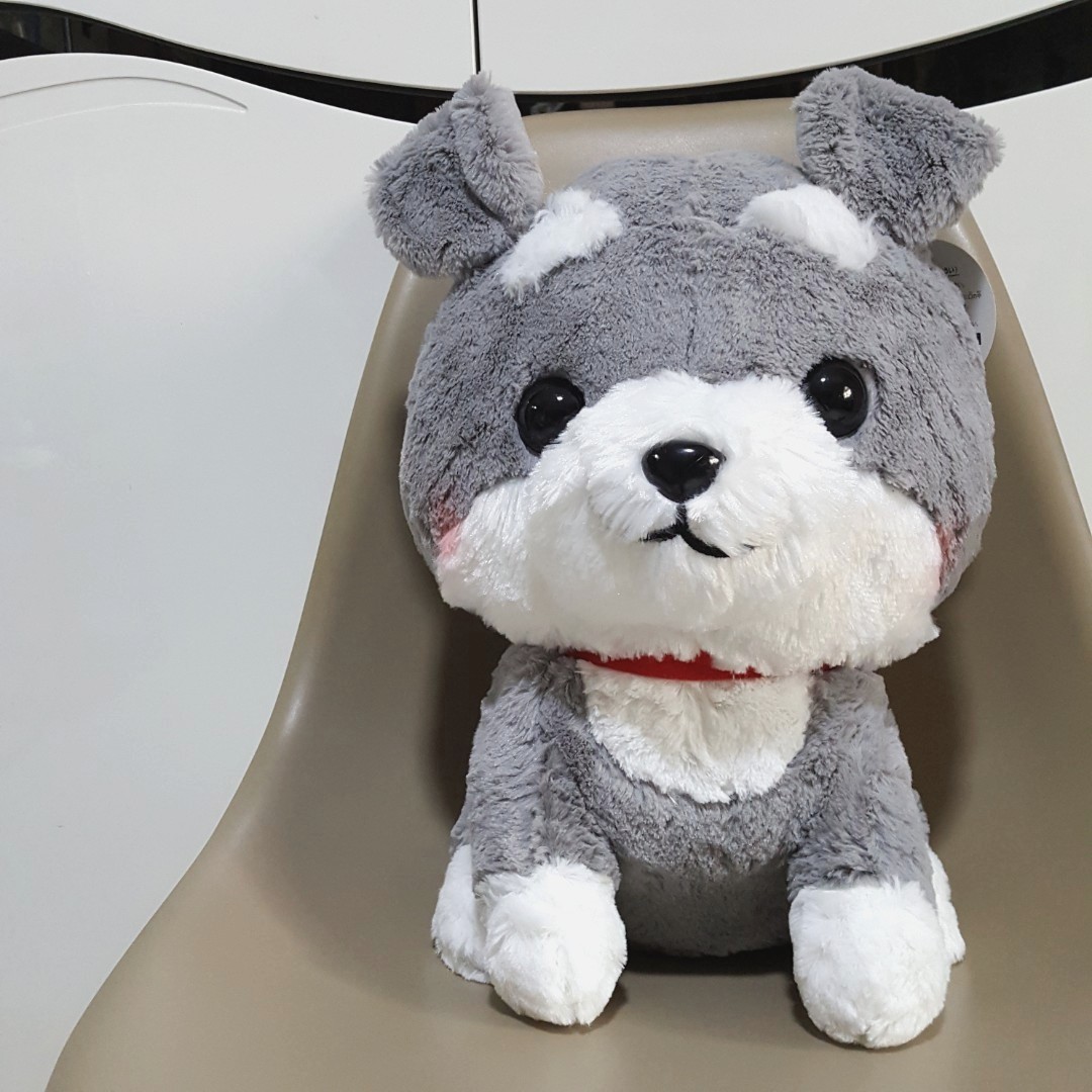 schnauzer plush