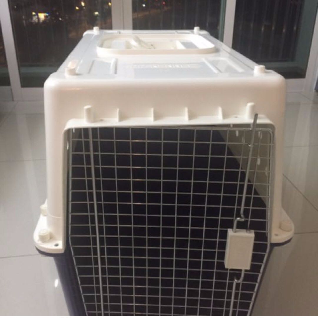 pp40 dog crate